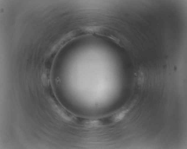 X0000052550428200507011135