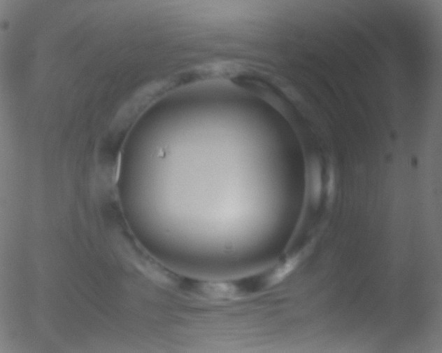 X0000052550429200507011135