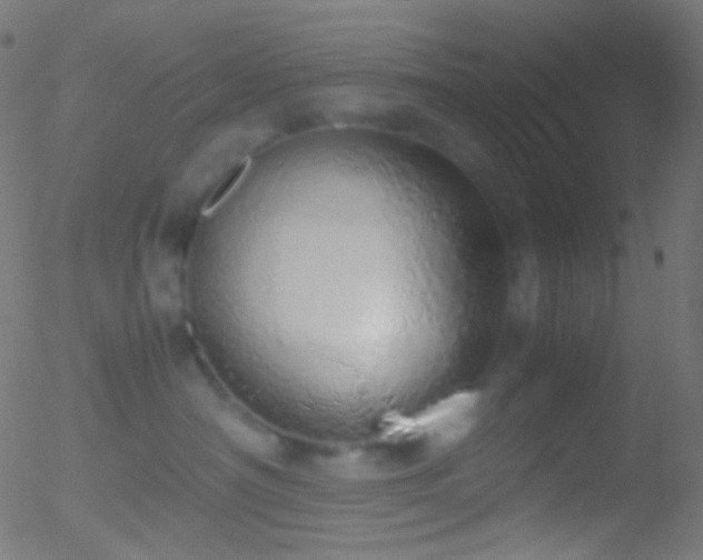 X0000052550430200507011135