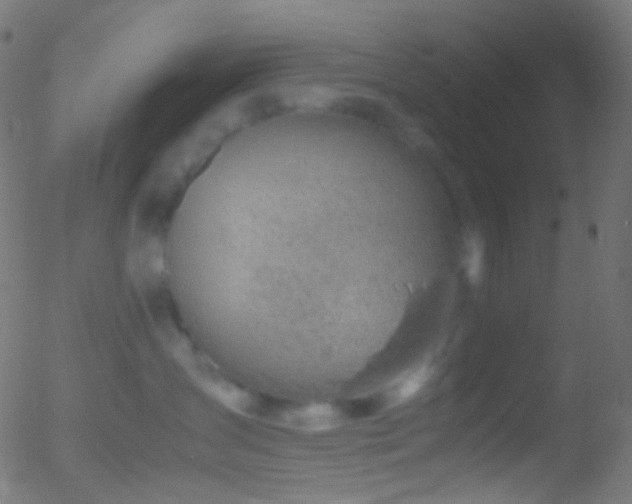 X0000052550431200507011135