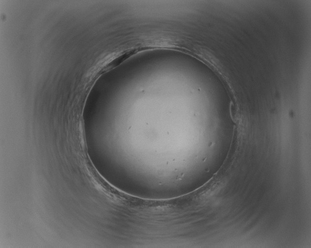 X0000052550433200507011134