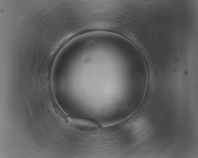 X0000052550434200507011134