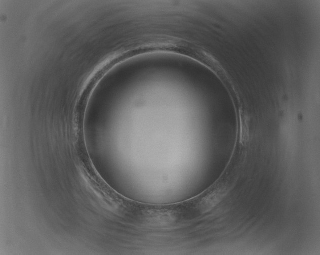 X0000052550435200507011134