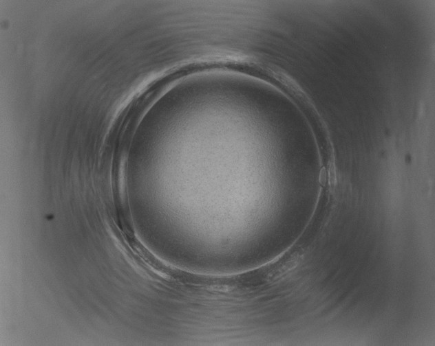 X0000052550436200507011134