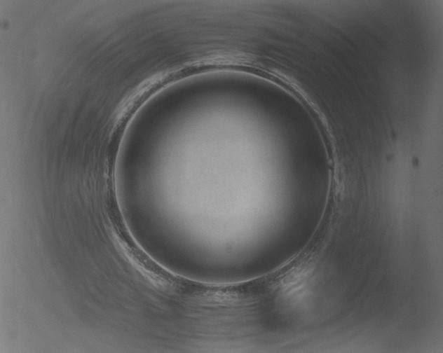 X0000052550437200507011134