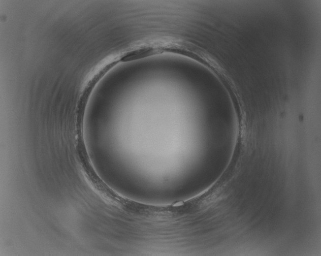 X0000052550438200507011134