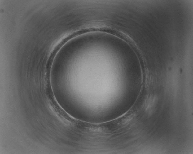 X0000052550439200507011134