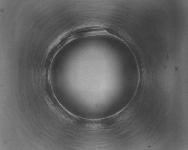 X0000052550440200507011134