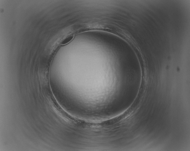 X0000052550441200507011134