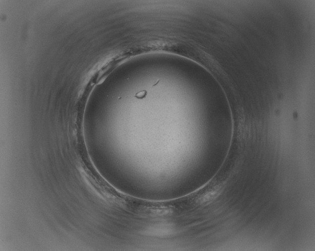 X0000052550443200507011134