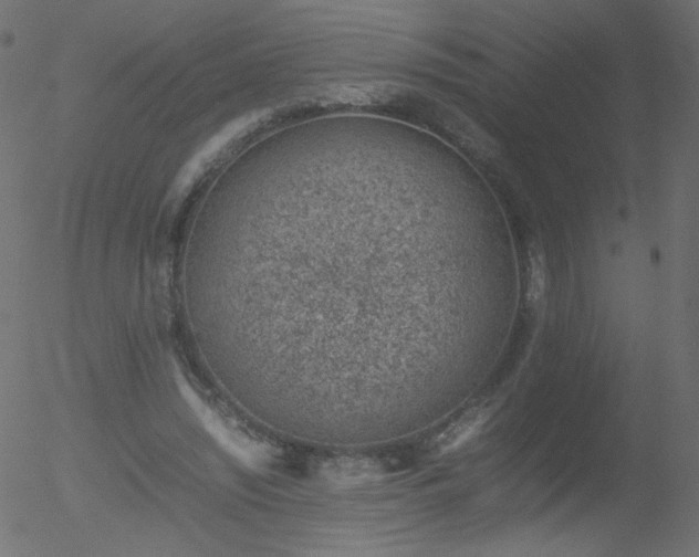 X0000052550444200507011134