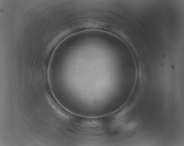 X0000052550445200507011134