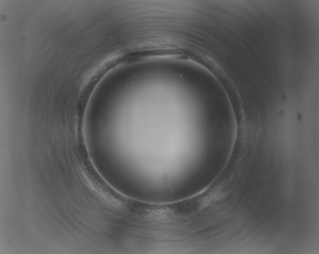 X0000052550446200507011134