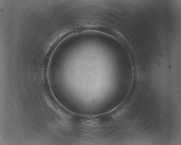 X0000052550447200507011134