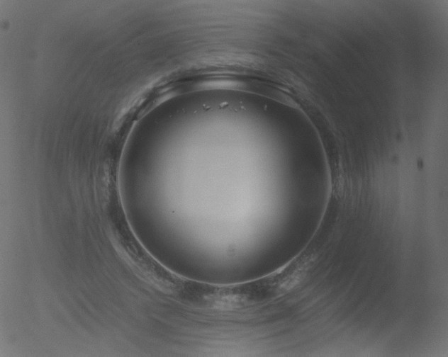 X0000052550448200507011134