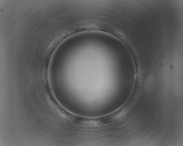 X0000052550449200507011134