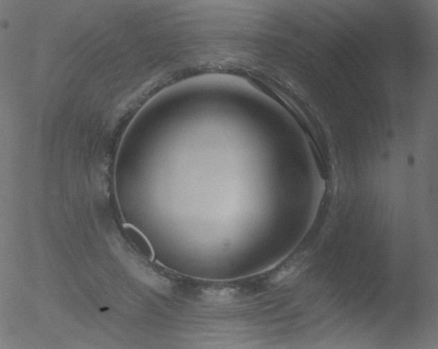 X0000052550450200507011134