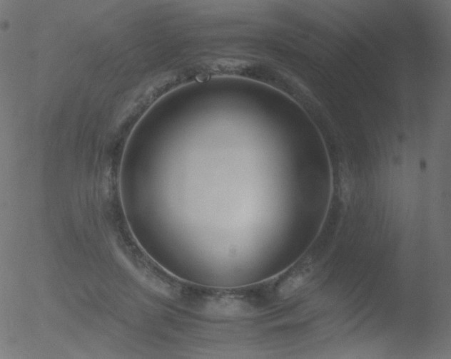 X0000052550451200507011134