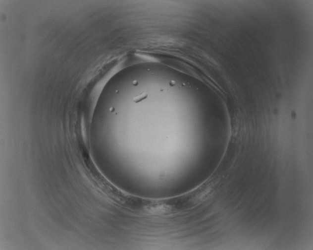 X0000052550452200507011134