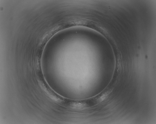 X0000052550453200507011134