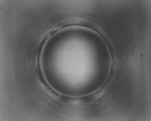 X0000052550454200507011134