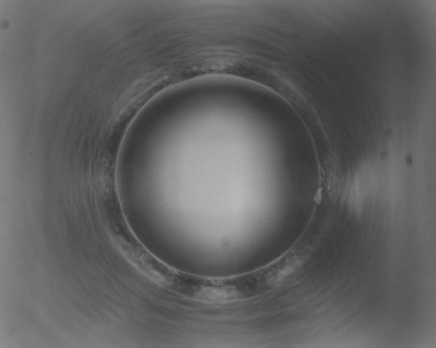 X0000052550455200507011134