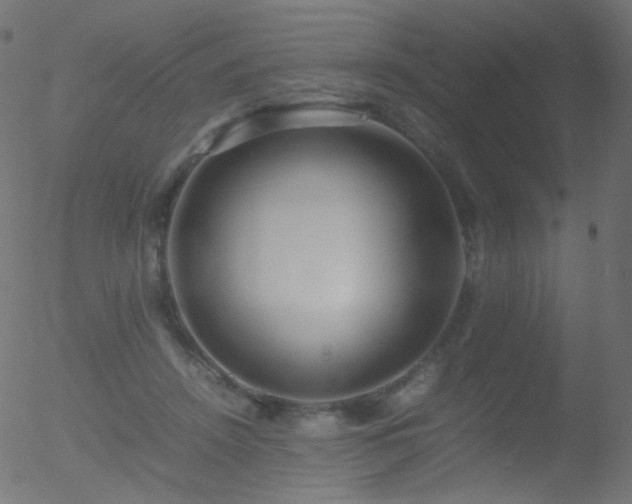 X0000052550456200507011134