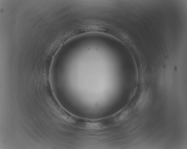 X0000052550457200507011134