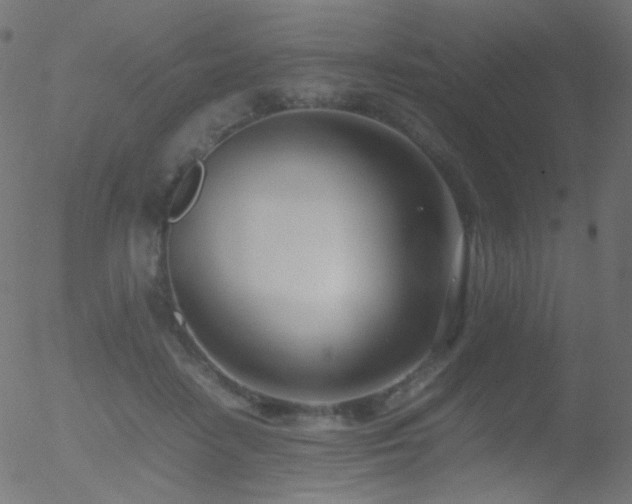 X0000052550458200507011134