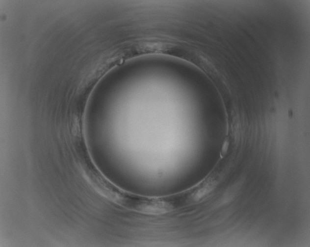 X0000052550459200507011135