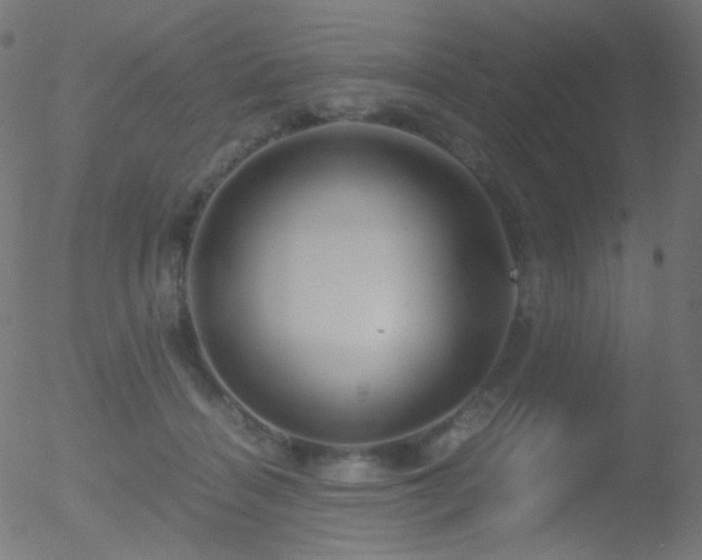 X0000052550460200507011135