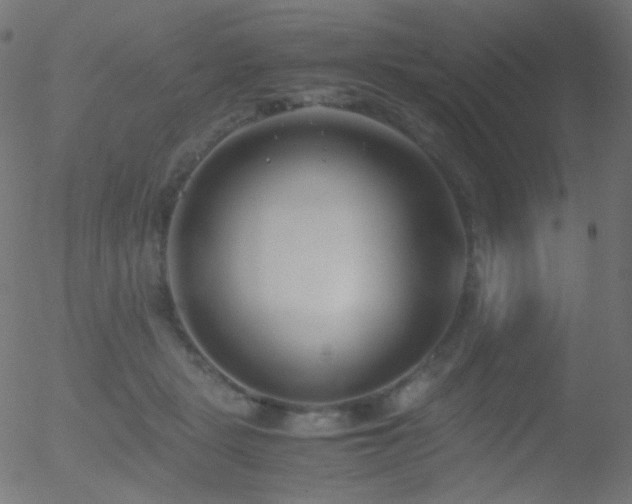 X0000052550461200507011135