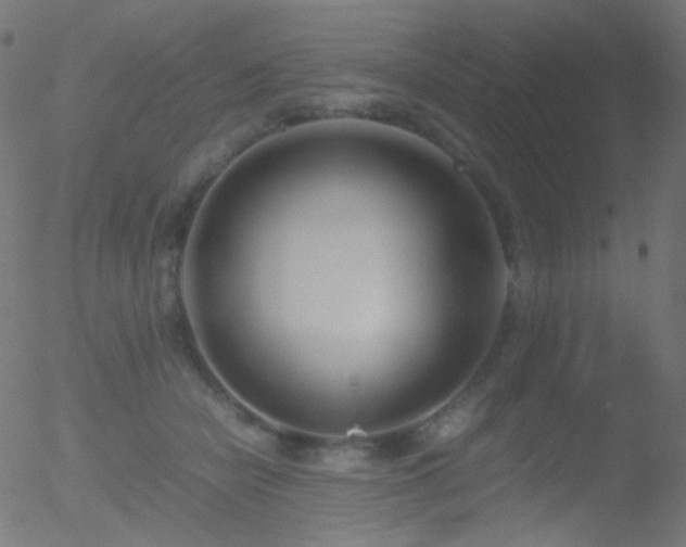 X0000052550462200507011135