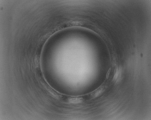 X0000052550465200507011135