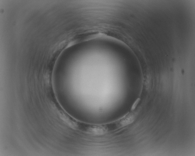 X0000052550466200507011135