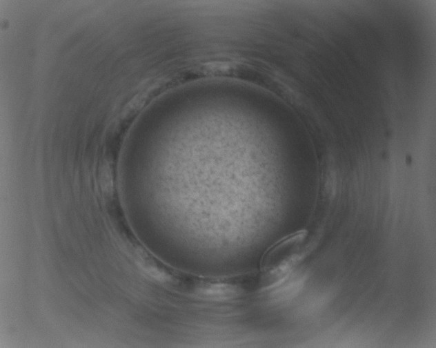 X0000052550467200507011135