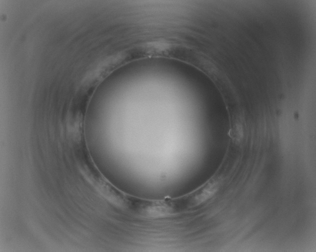 X0000052550468200507011135