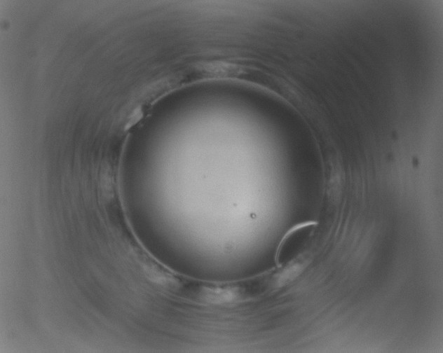 X0000052550469200507011135