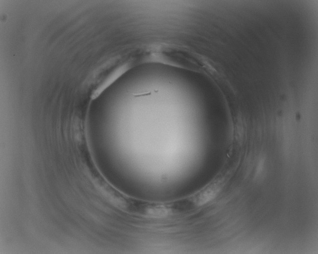 X0000052550470200507011135