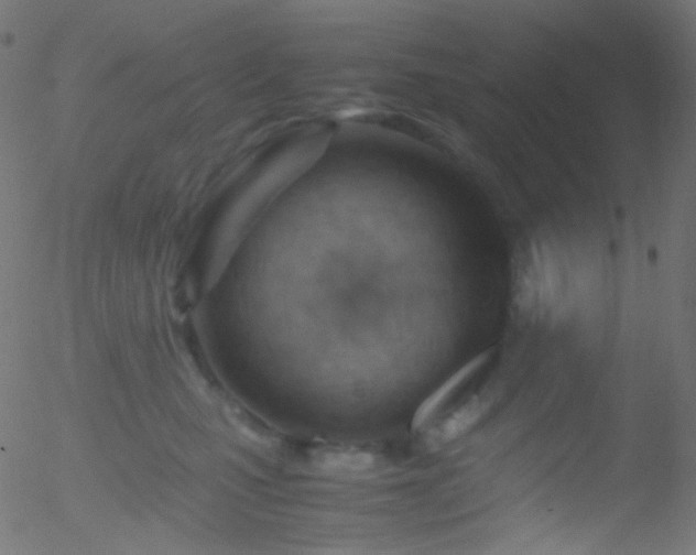 X0000052550471200507011135