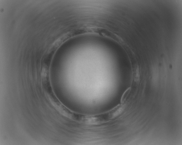 X0000052550472200507011135