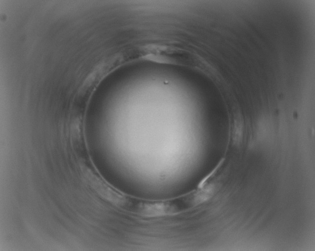 X0000052550473200507011135