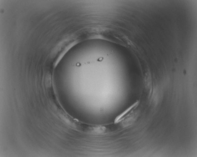 X0000052550474200507011135