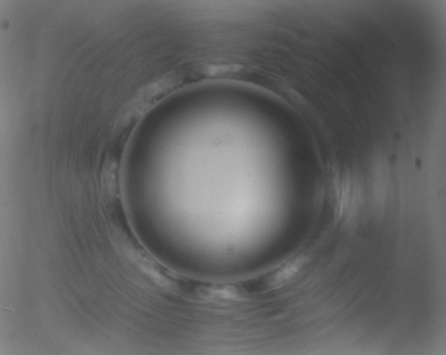 X0000052550475200507011135