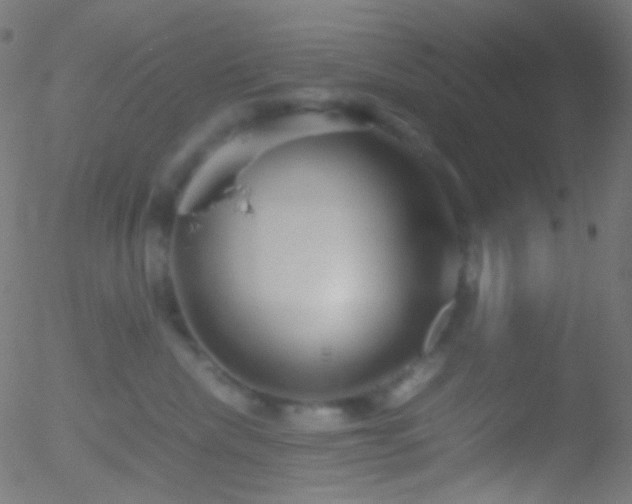 X0000052550476200507011135