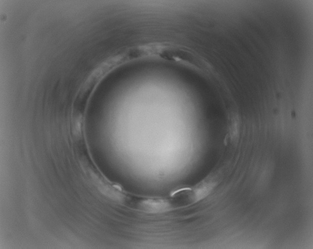 X0000052550477200507011135