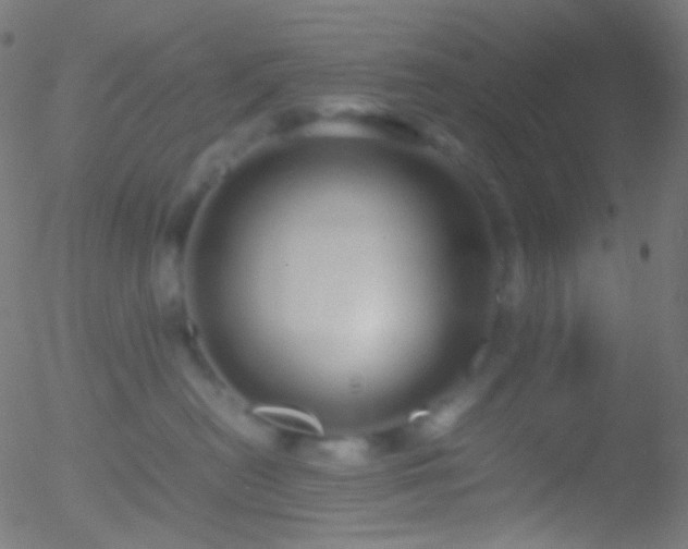 X0000052550478200507011135