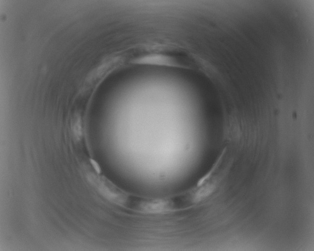 X0000052550479200507011135