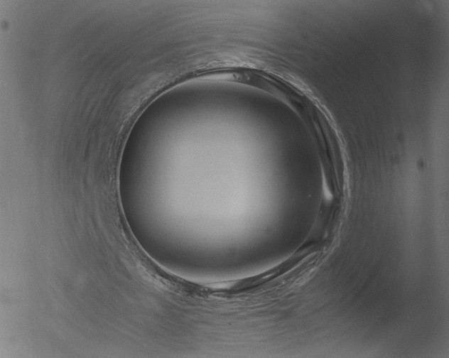 X0000052550481200507011134