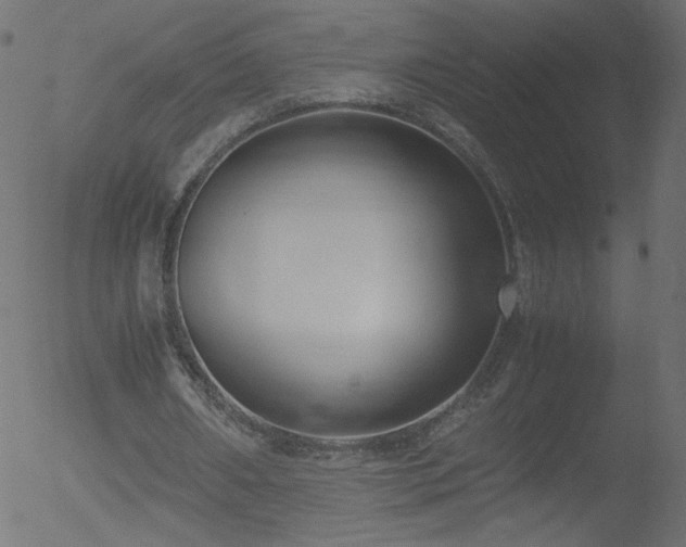 X0000052550482200507011134